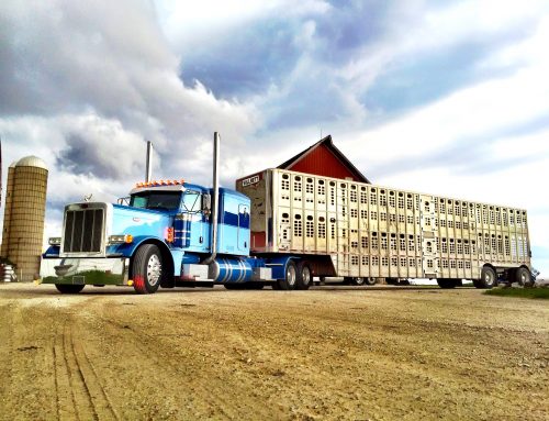 Agriculture Heavy Hauling Services